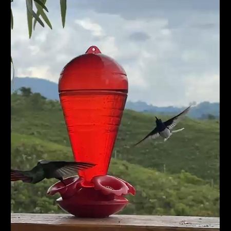 El Refugio Del Colibri Bed & Breakfast Santa Rosa de Cabal Exterior photo
