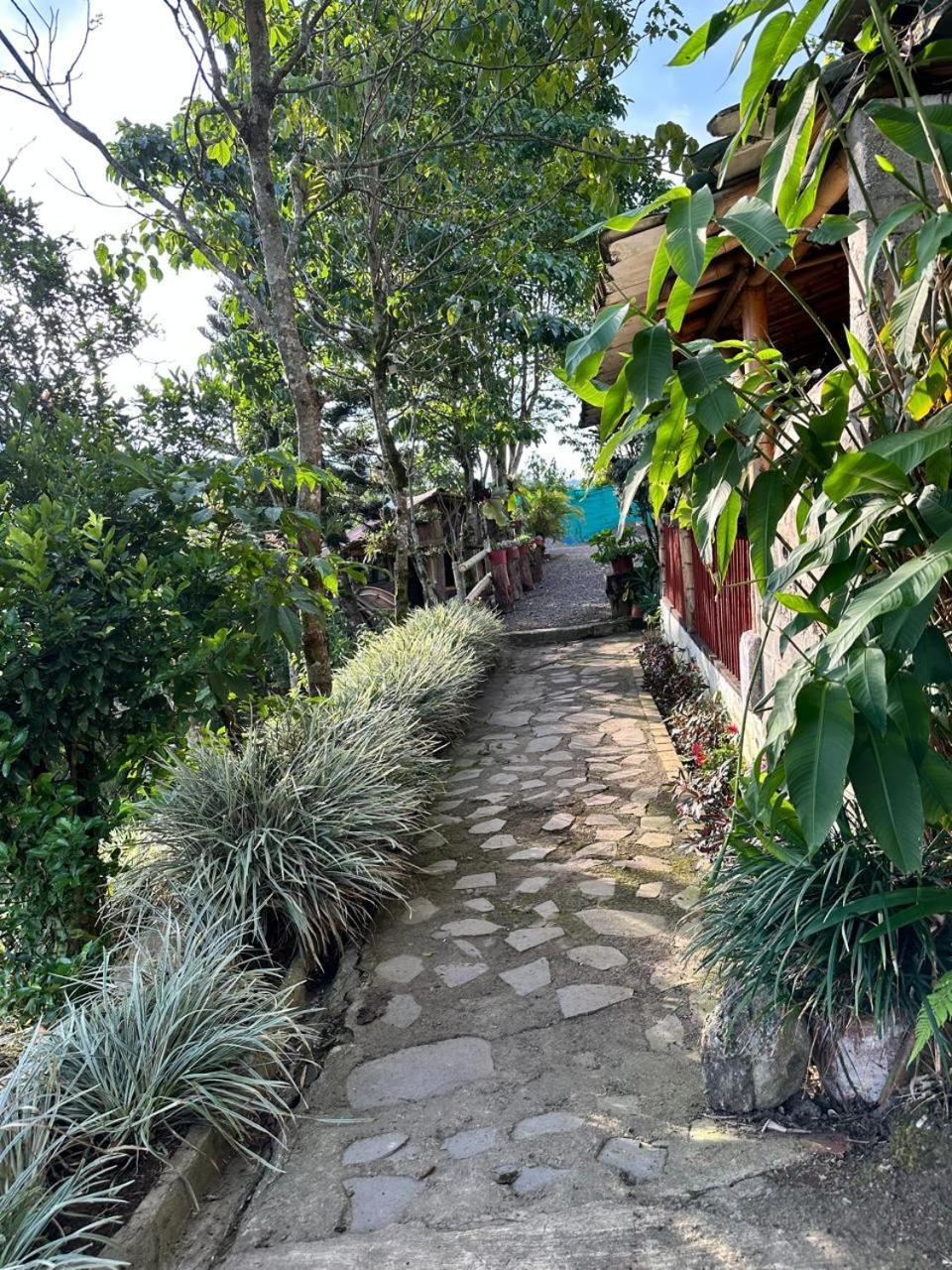 El Refugio Del Colibri Bed & Breakfast Santa Rosa de Cabal Exterior photo